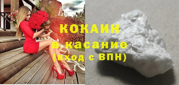 сатива Нея