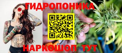 гидра Волжск