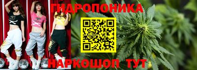 прущие грибы Жуковский