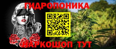 дурь Заводоуковск