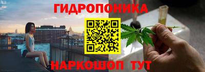 прущие грибы Жуковский