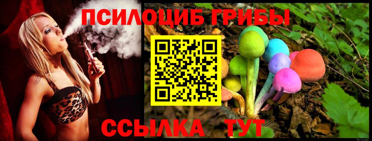 Псилоцибиновые грибы Новоуральск