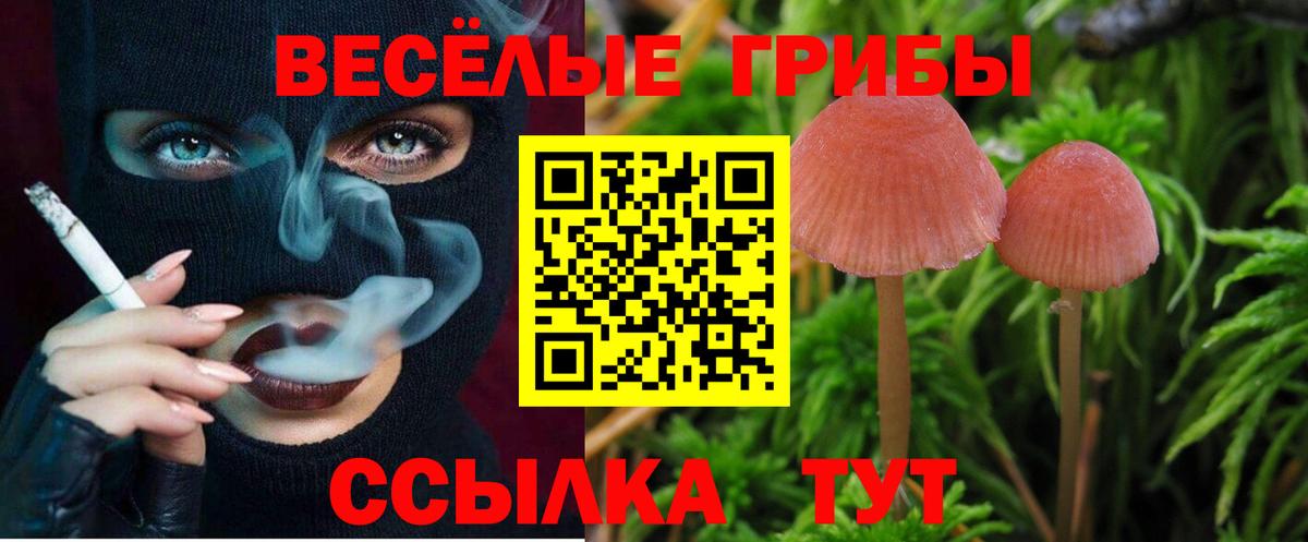 Галлюциногенные грибы мухоморы Новоуральск