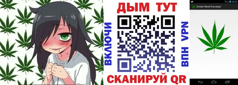 Каннабис Bruce Banner  блэк спрут ССЫЛКА  Новоуральск 